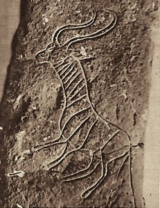 Deeply cut horned animal from Megiddo